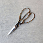 Stainless Steel Take-apart Kitchen Scissors