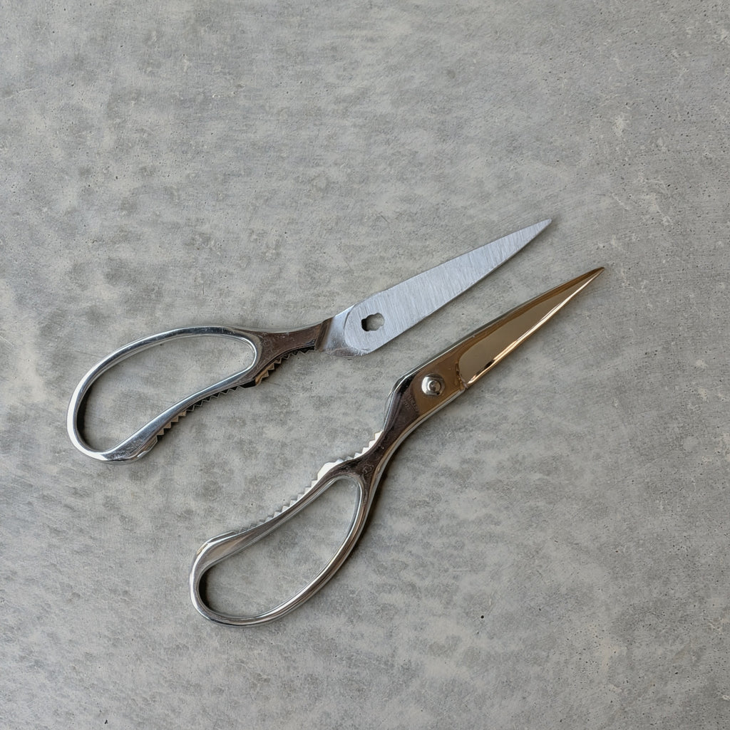 Stainless Steel Take-apart Kitchen Scissors