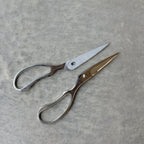 Stainless Steel Take-apart Kitchen Scissors