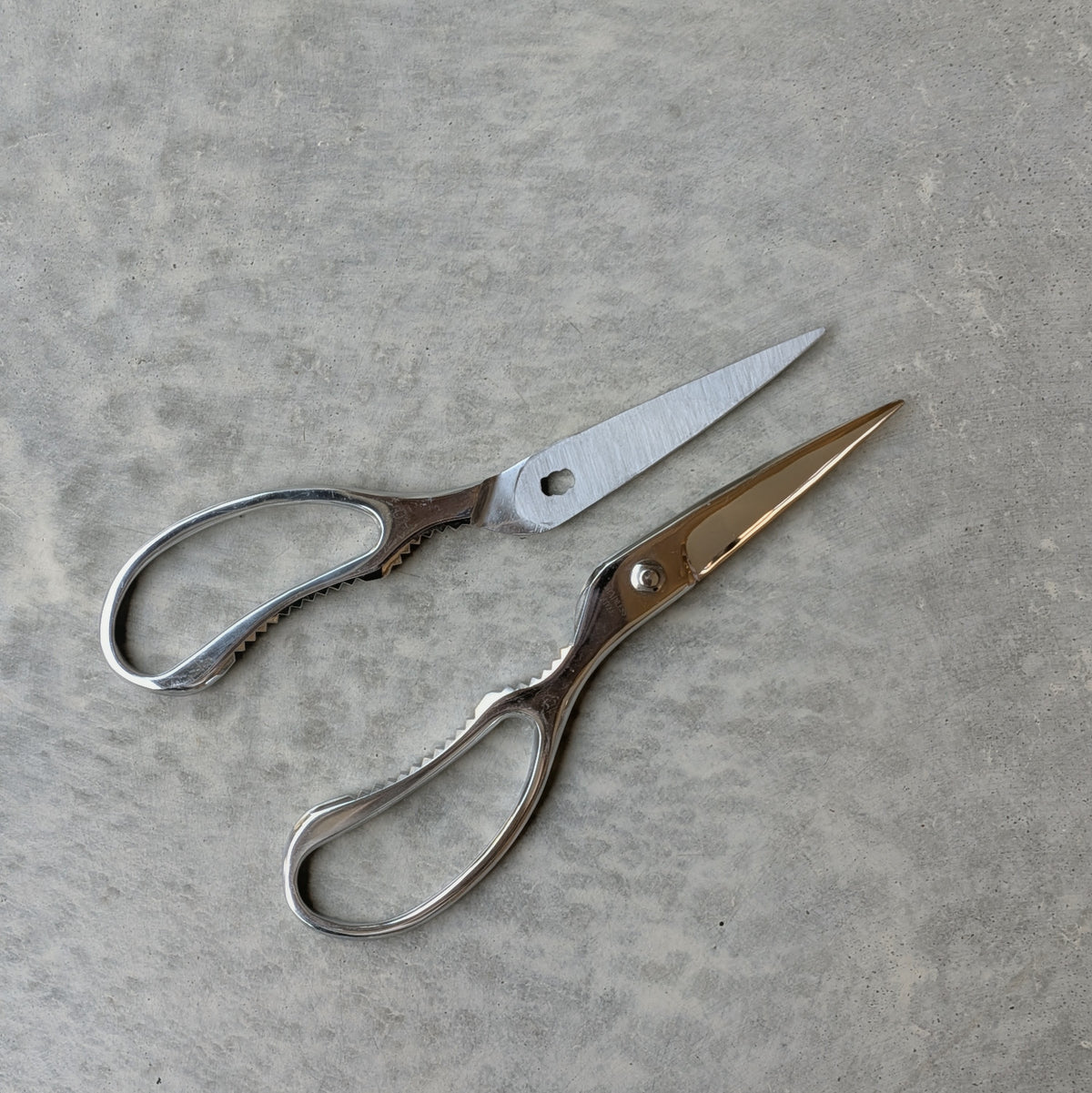Stainless Steel Take-apart Kitchen Scissors