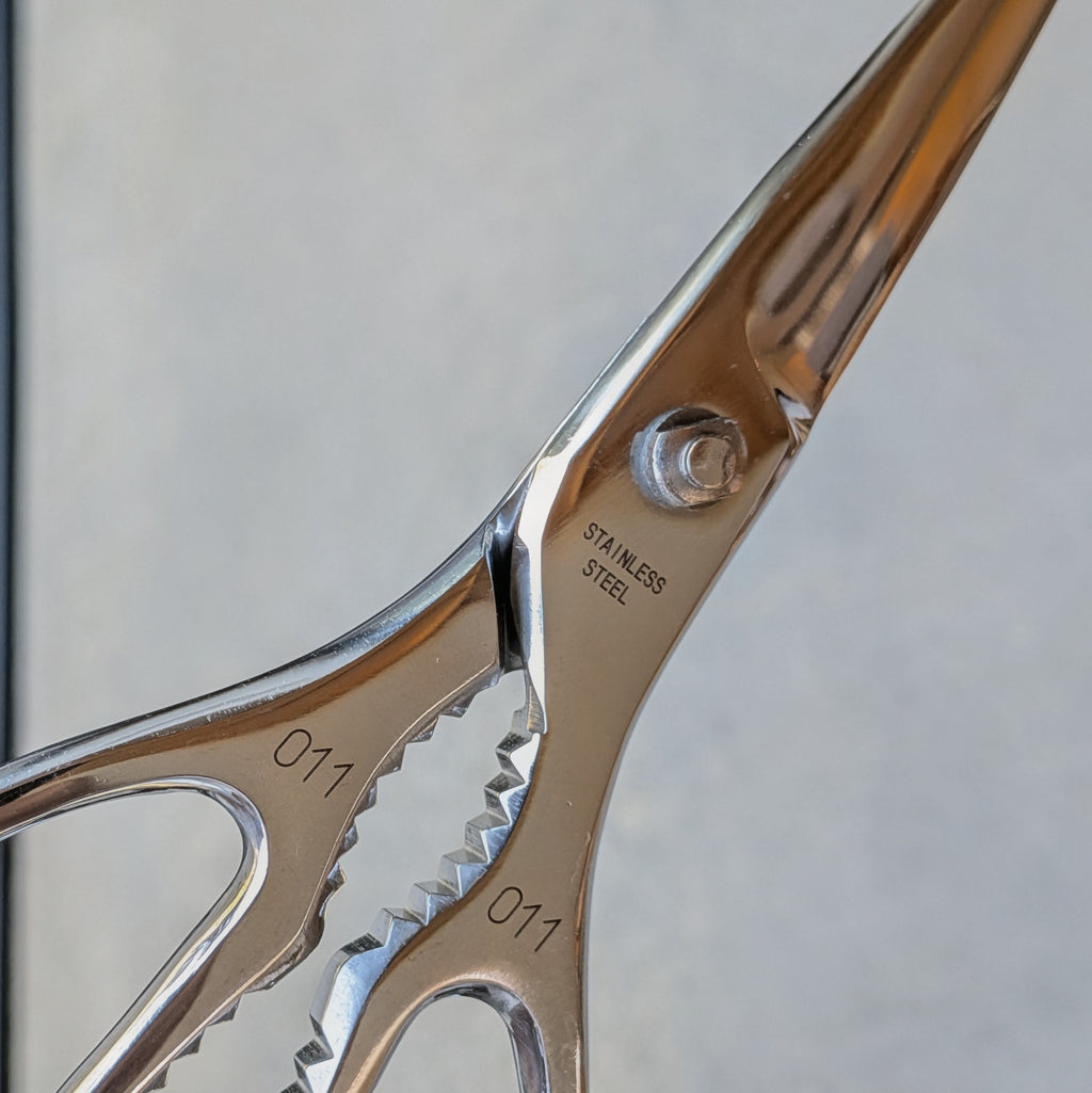 Stainless Steel Take-apart Kitchen Scissors