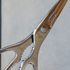 Stainless Steel Take-apart Kitchen Scissors