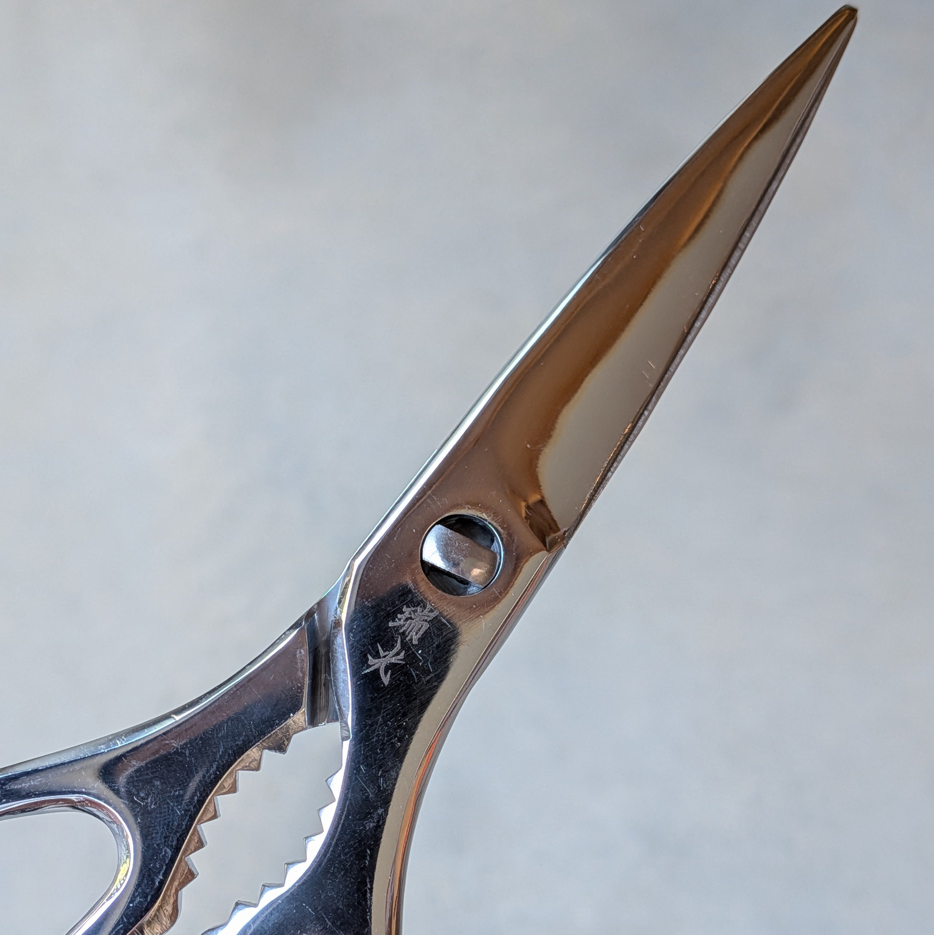 Stainless Steel Take-apart Kitchen Scissors